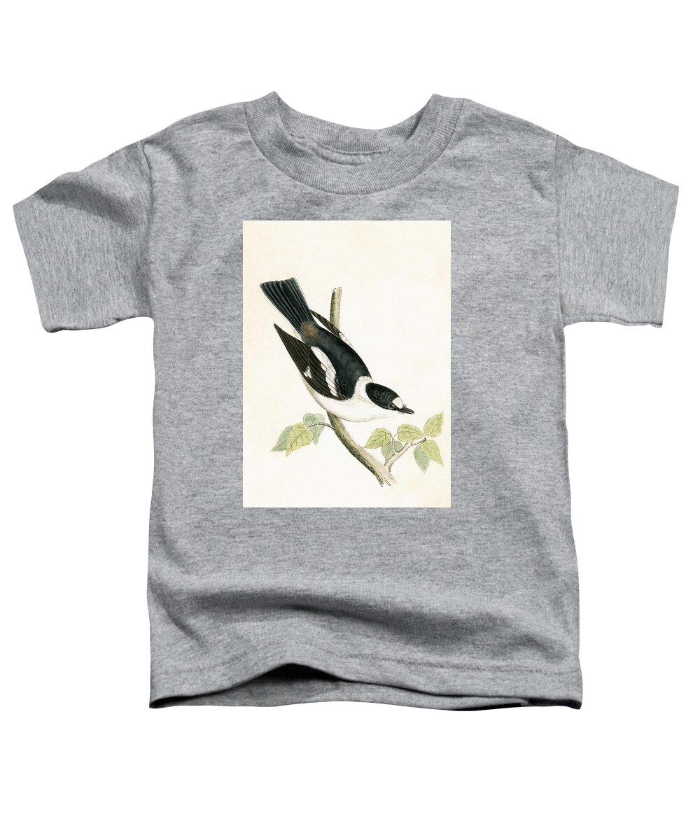 Flycatcher Toddler T-Shirt featuring the painting White Collared Flycatcher by English School