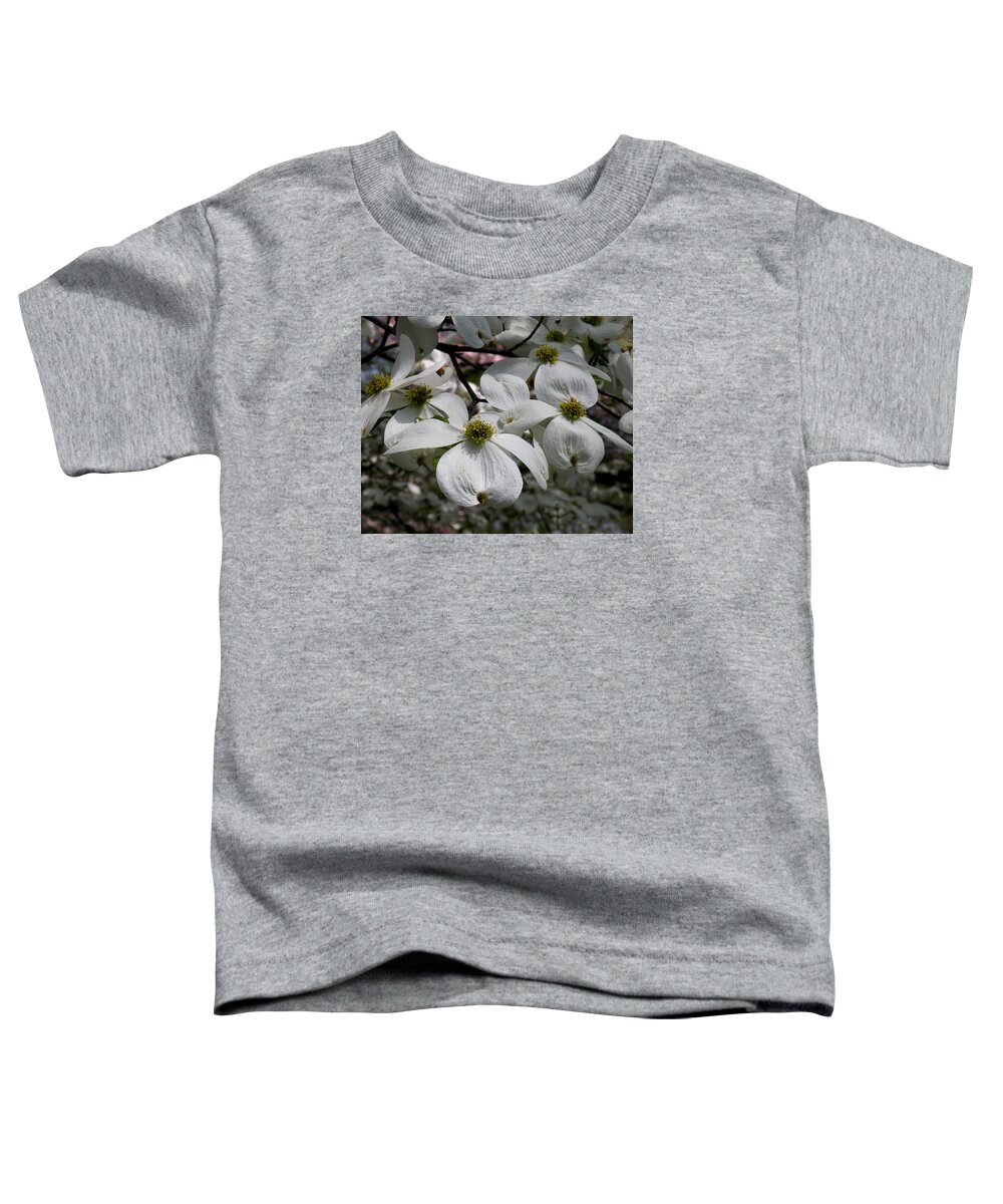 Tranquility Toddler T-Shirt featuring the photograph White Dogwood by Janis Kirstein