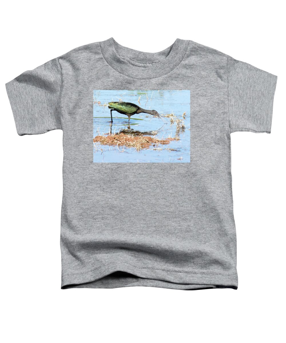 White-faced Toddler T-Shirt featuring the photograph White-faced Ibis 6943-100517-2 by Tam Ryan