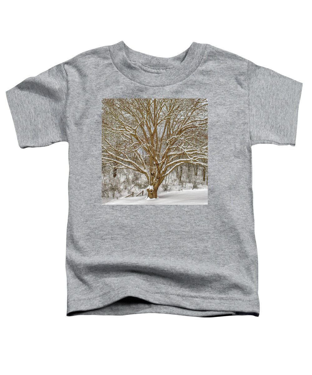 Landscape Toddler T-Shirt featuring the photograph White Oak in Snow by Joe Shrader