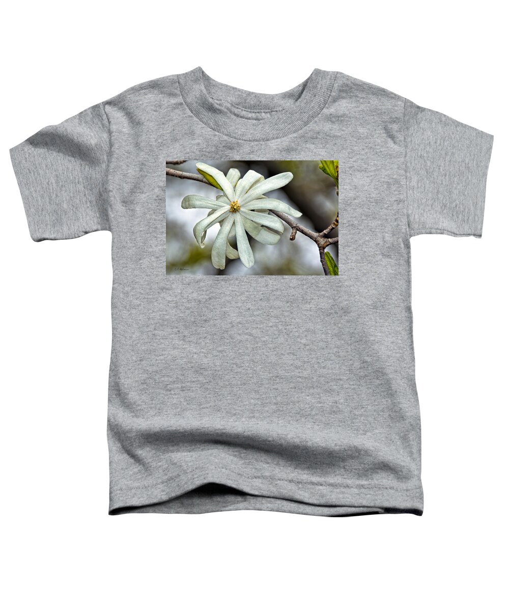 Blossom Toddler T-Shirt featuring the photograph White Petals by Christopher Holmes