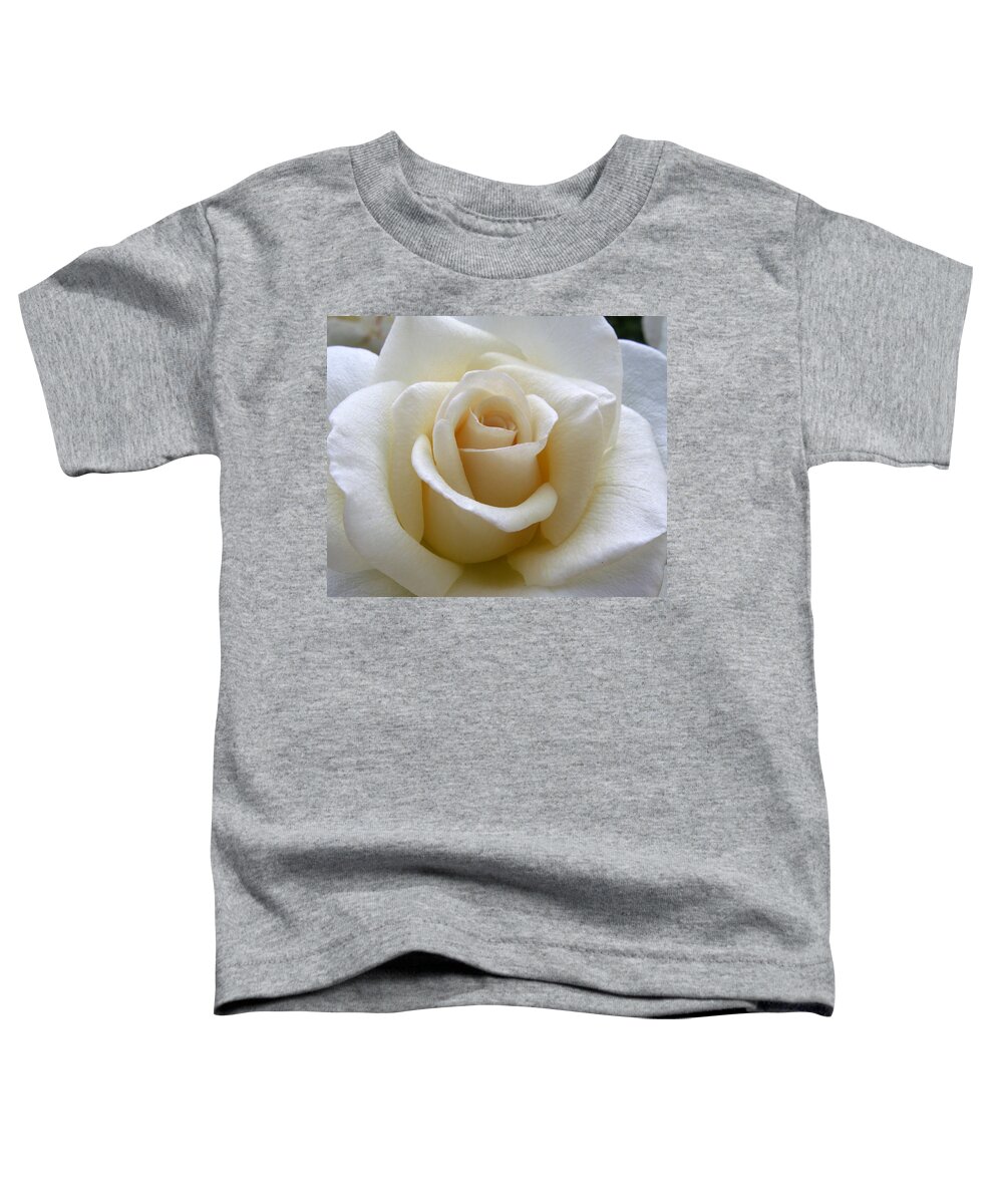 Roses Toddler T-Shirt featuring the photograph White Rose by Amy Fose