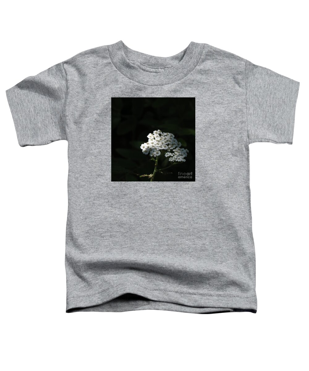 Flowers Toddler T-Shirt featuring the photograph White Summer Blooms by Anita Adams