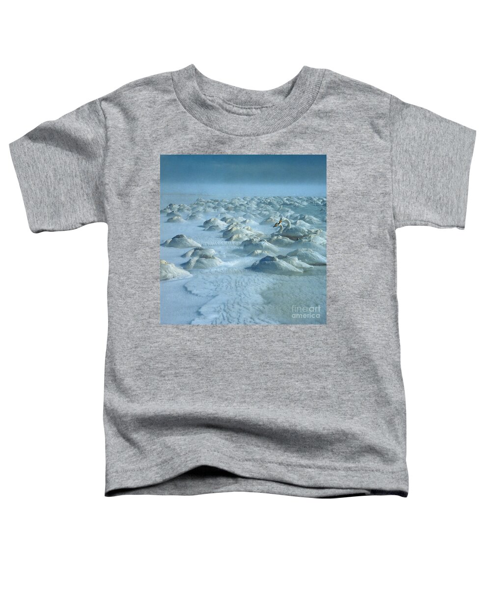 Whooper Swan Toddler T-Shirt featuring the photograph Whooper Swans in Snow by Teiji Saga and Photo Researchers