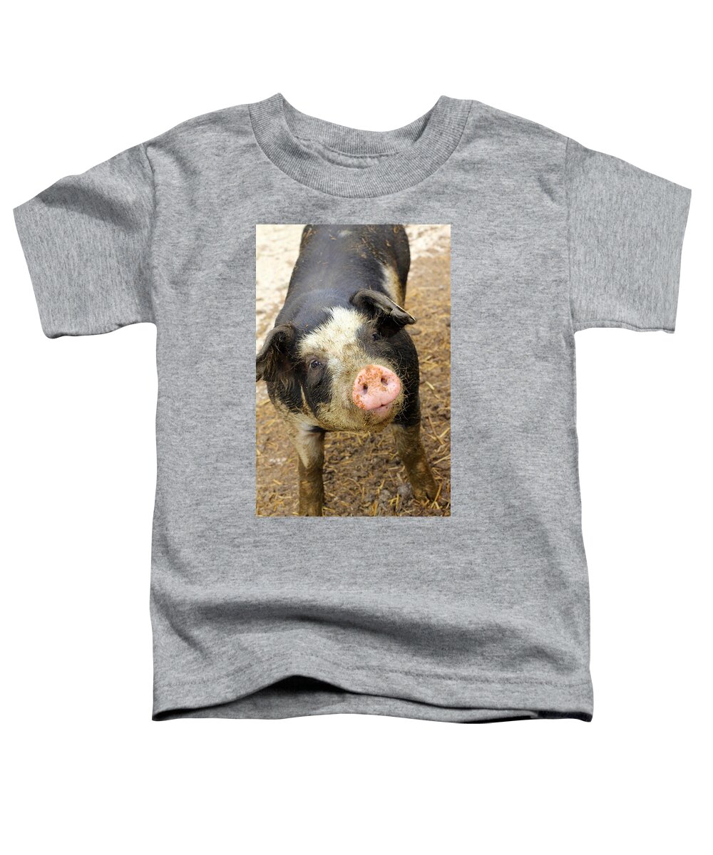 Pig Toddler T-Shirt featuring the photograph Wilbur by Viviana Nadowski