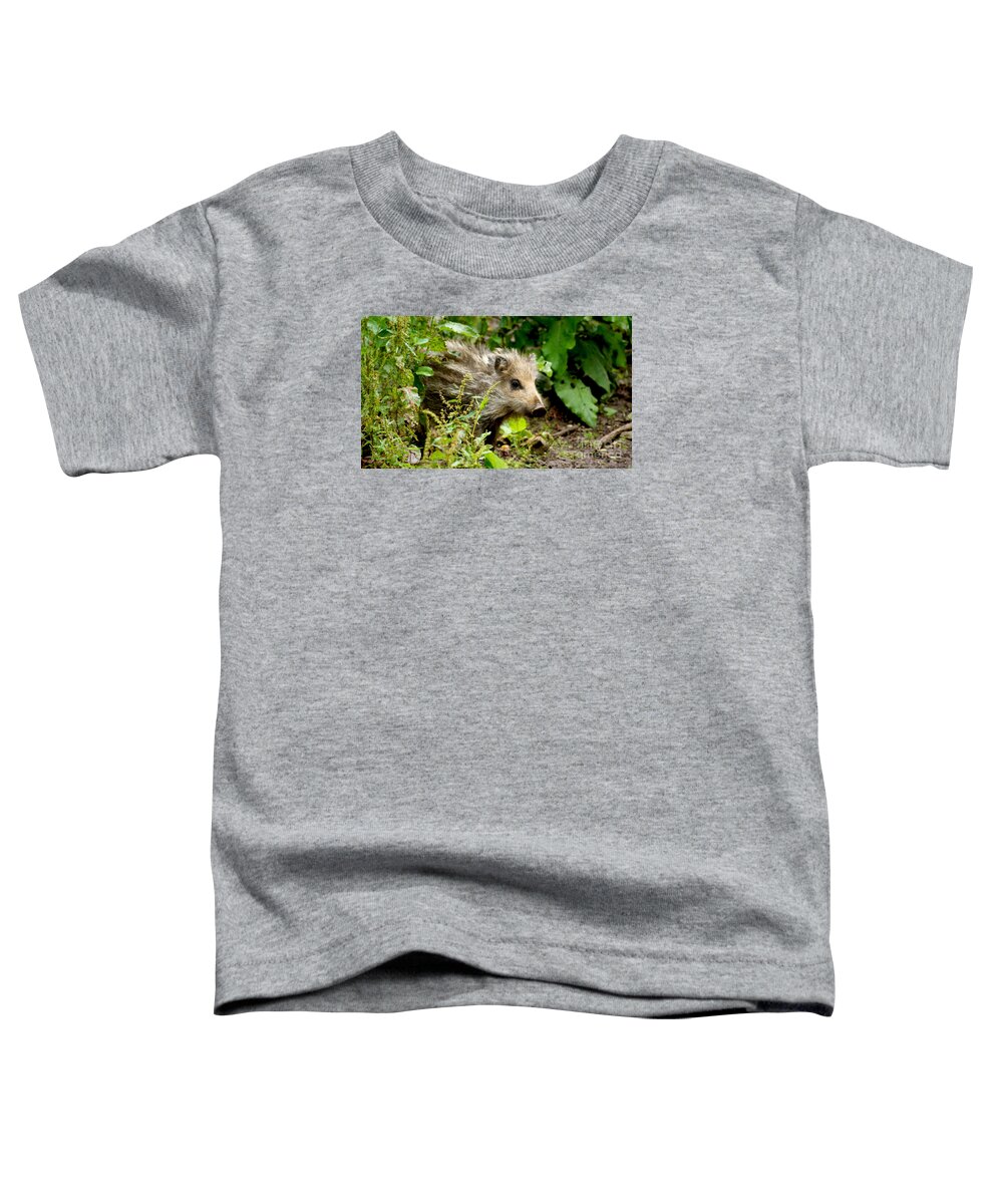 Wild Boar Toddler T-Shirt featuring the photograph Wild Boar Baby by Eva-Maria Di Bella