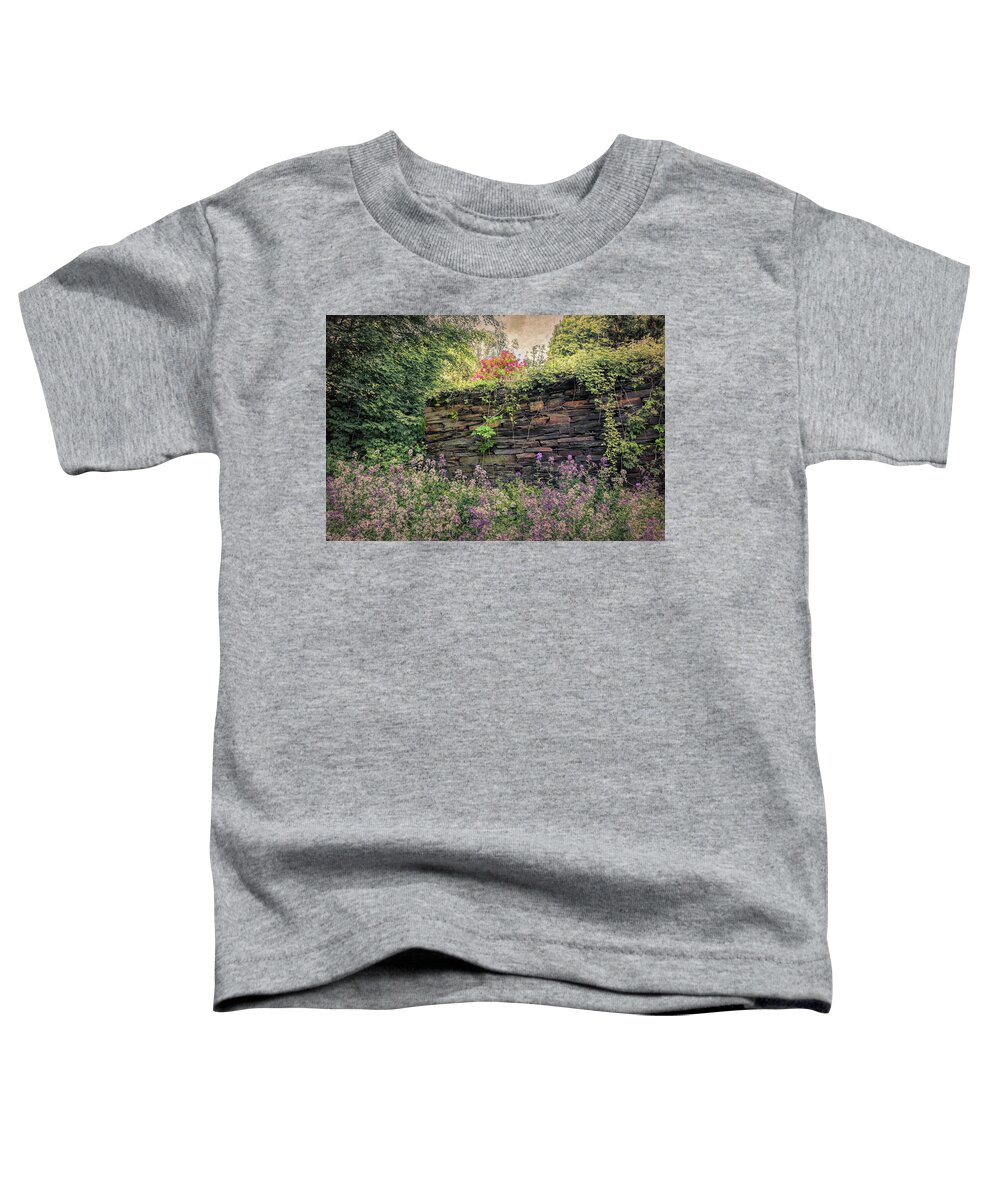 Brattleboro Vermont Spring Toddler T-Shirt featuring the photograph Wild Flocks by Tom Singleton