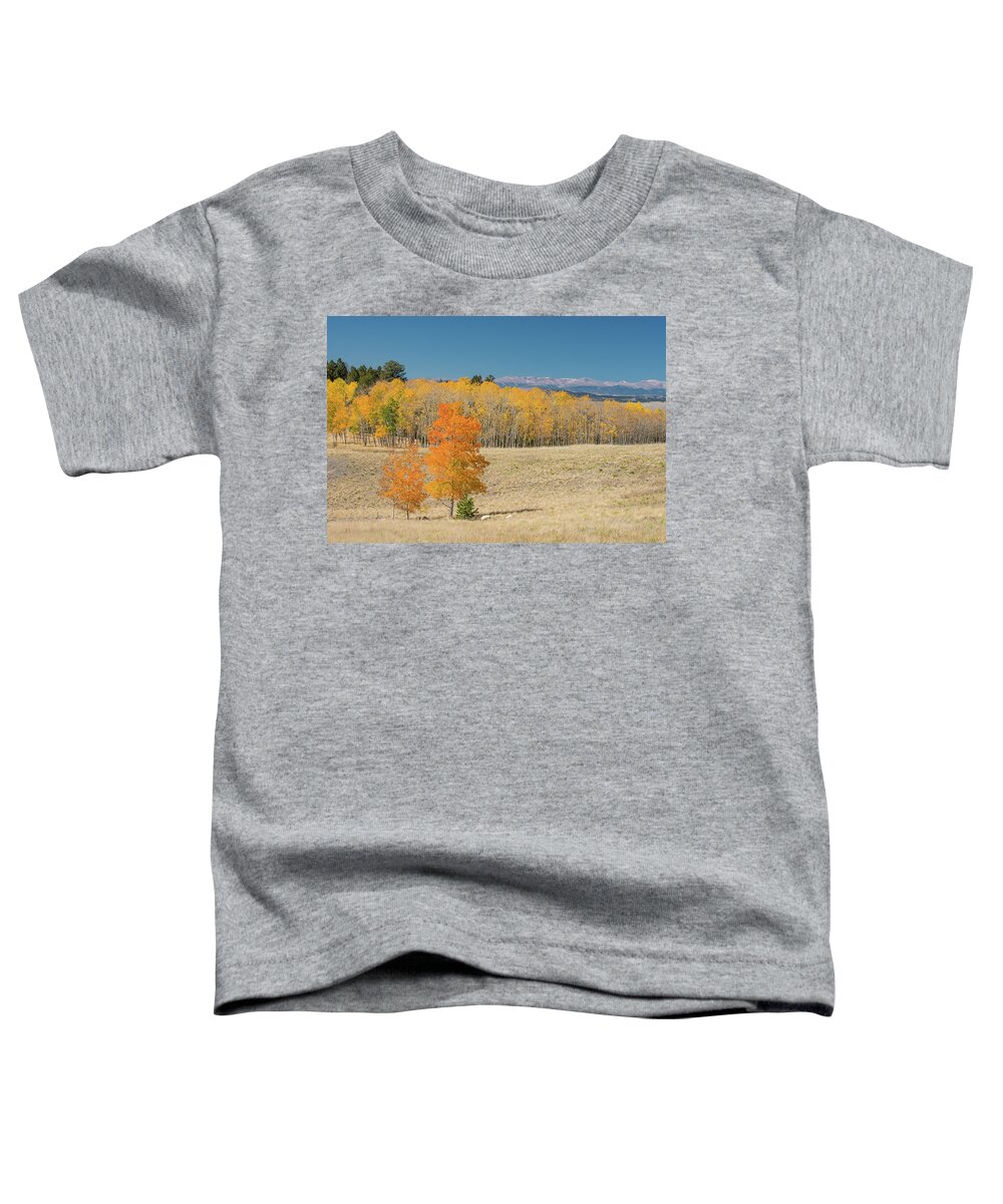 Colorado Toddler T-Shirt featuring the photograph Wilkerson Pass View by Tara Krauss