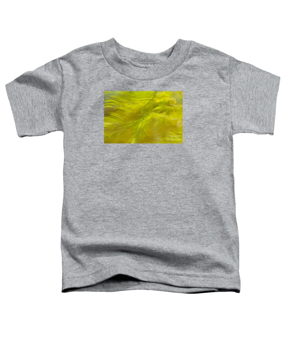 Charles Daley Park Toddler T-Shirt featuring the photograph Willow Dreaming by Marilyn Cornwell