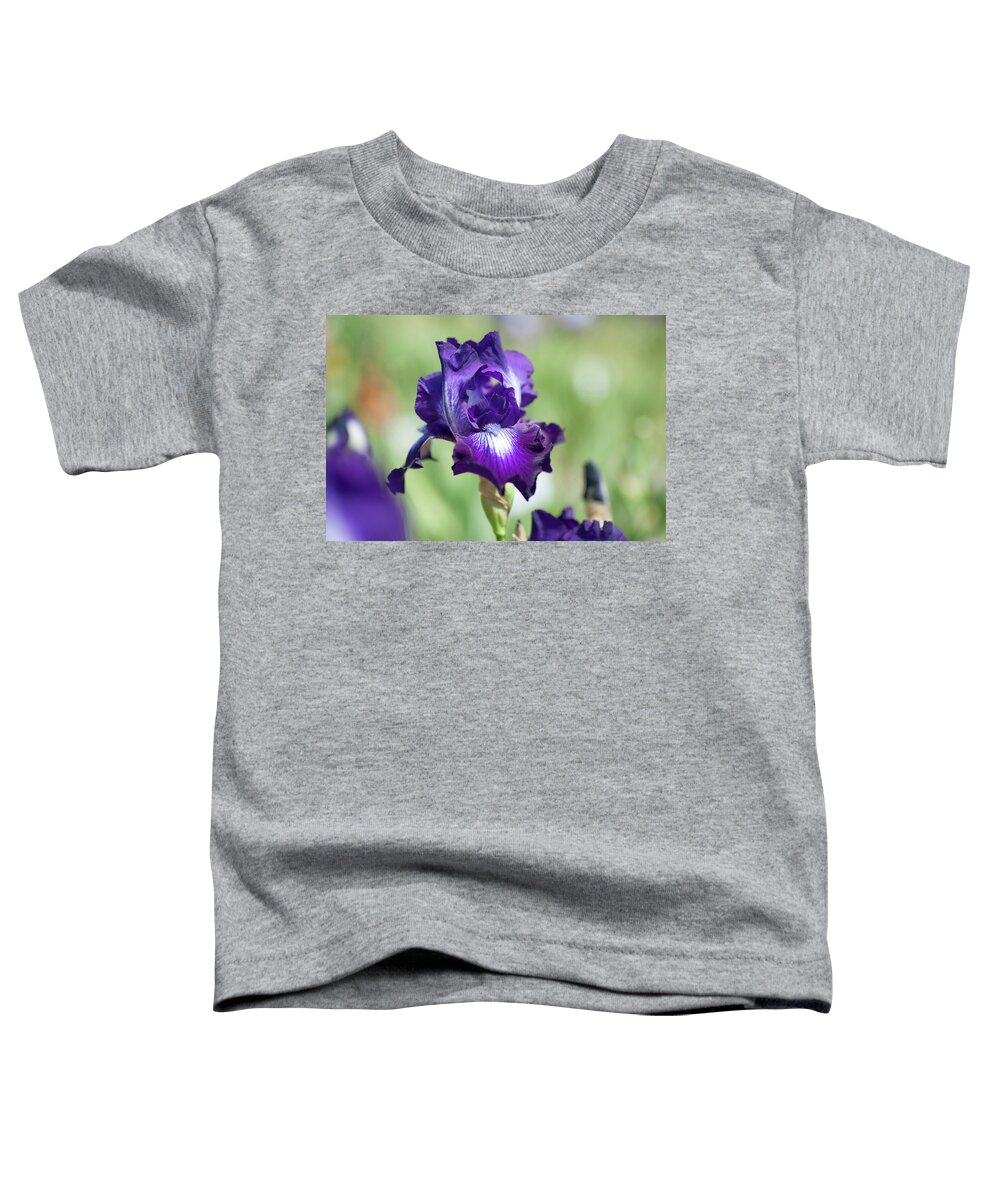 Iridaceae Toddler T-Shirt featuring the photograph Winners Circle 1. The Beauty of Irises by Jenny Rainbow