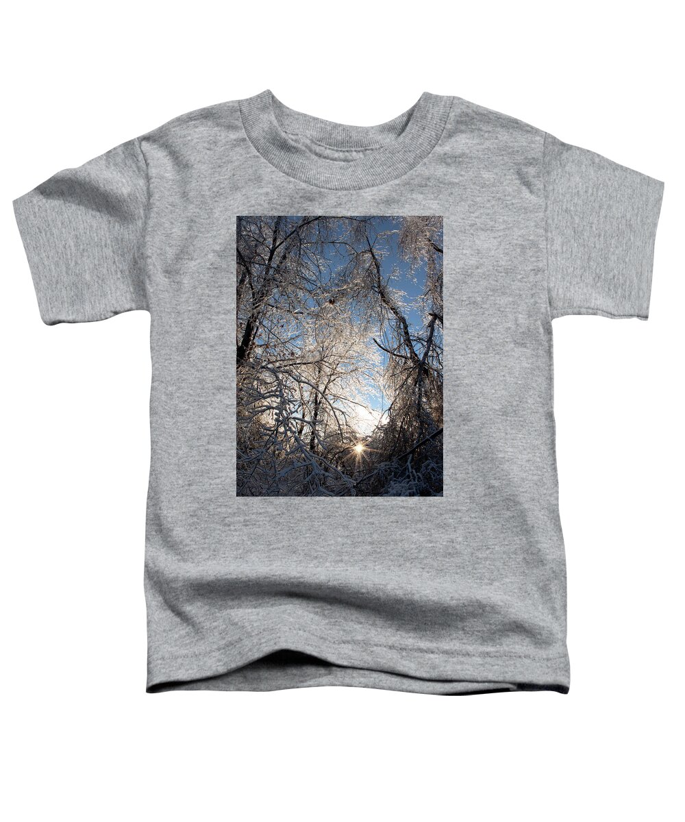 Trees Toddler T-Shirt featuring the photograph Winter Beauty by Joann Copeland-Paul
