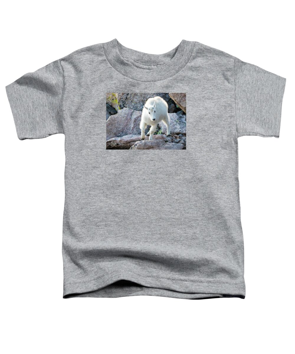 Mountain Goat Toddler T-Shirt featuring the photograph Winter Coats #2 by Mindy Musick King