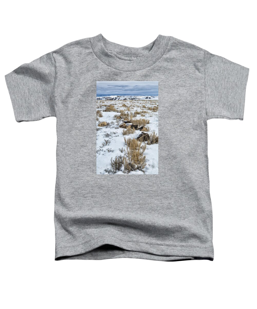 Colorado Toddler T-Shirt featuring the photograph Winter Light In The High Desert by Denise Bush