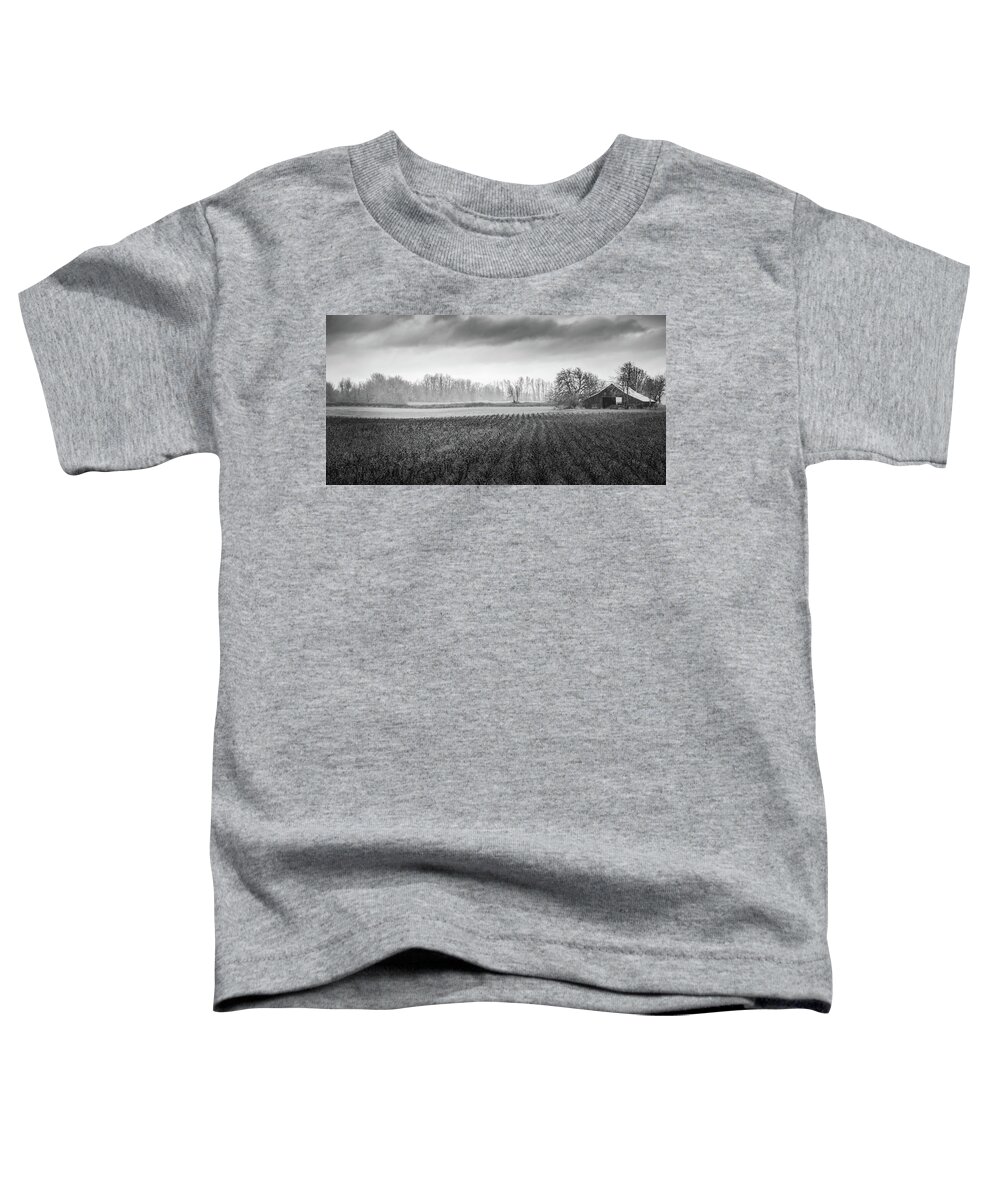 Farmland Toddler T-Shirt featuring the photograph Winter Pasture by Don Schwartz