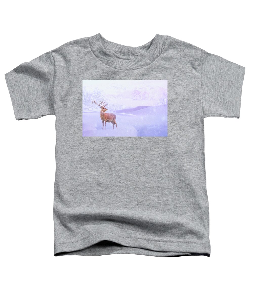 Winter Toddler T-Shirt featuring the photograph Winter Story by Iryna Goodall