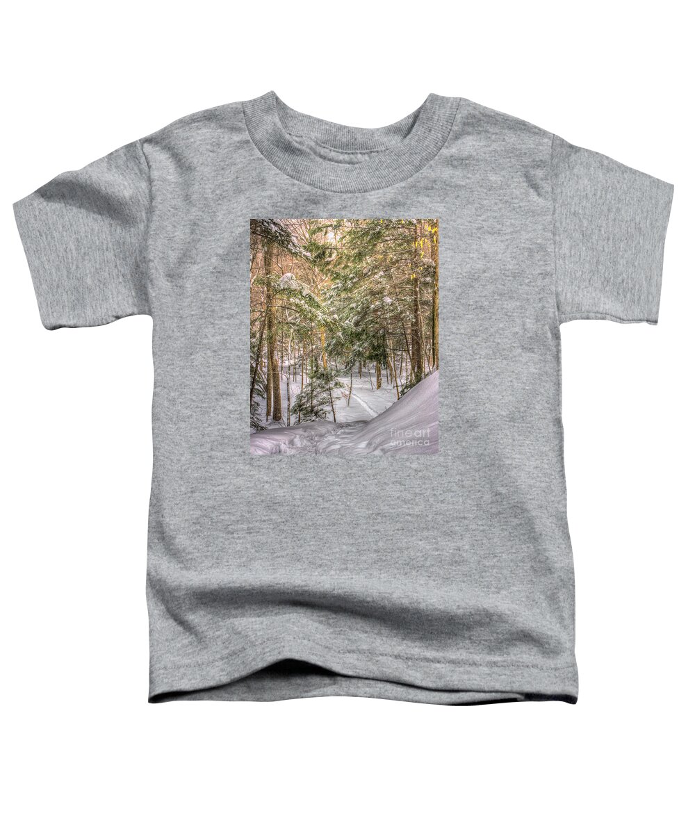Winter Toddler T-Shirt featuring the photograph Into The Woods by Rod Best