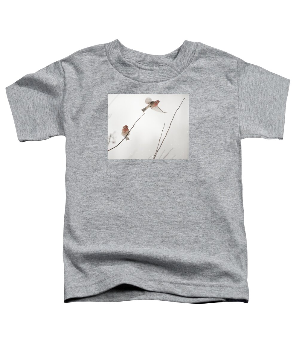 Bird Toddler T-Shirt featuring the photograph Finch Winter Wind Surfing 2 by Jill Love