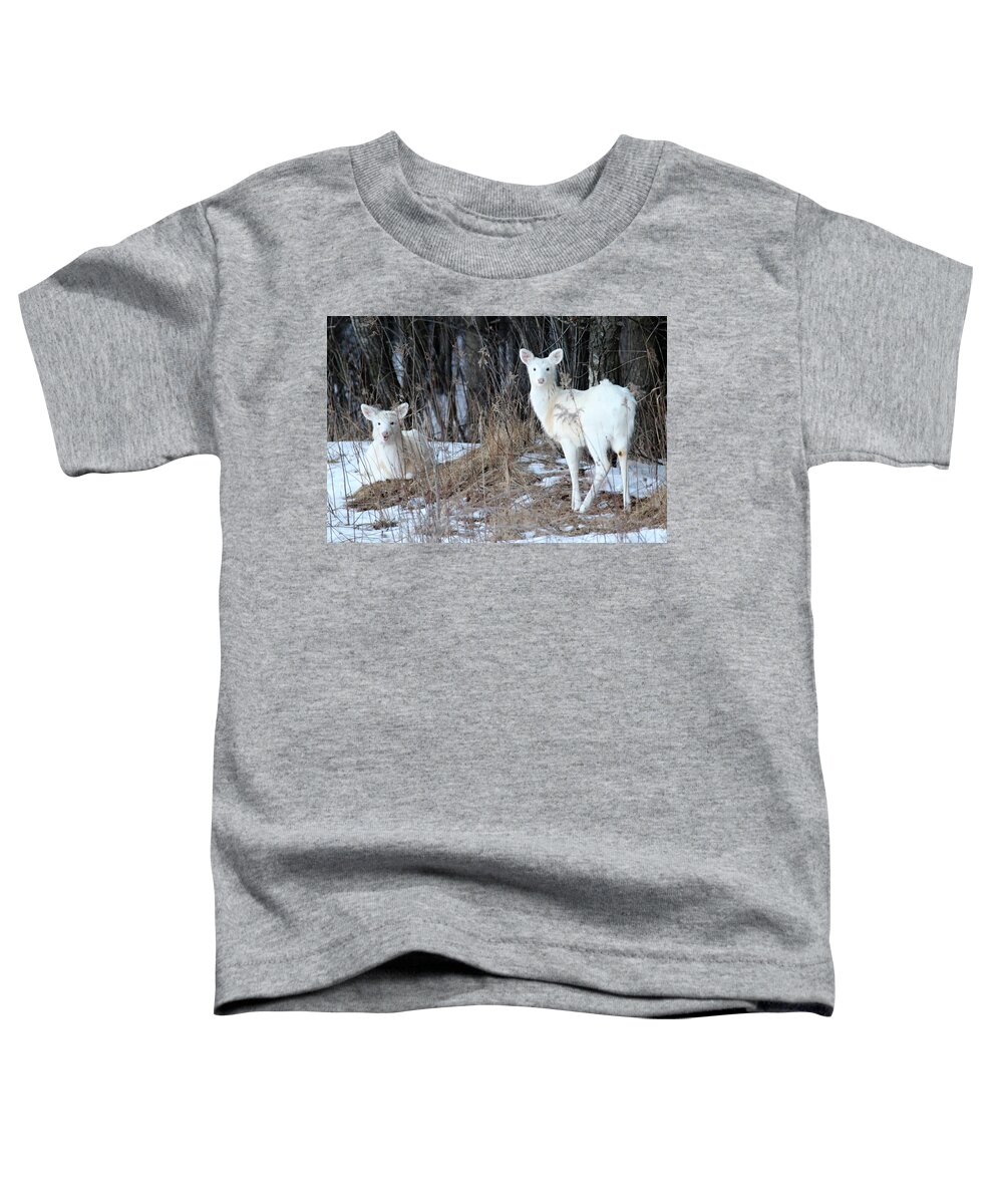 Doe Toddler T-Shirt featuring the photograph Wintery White by Brook Burling