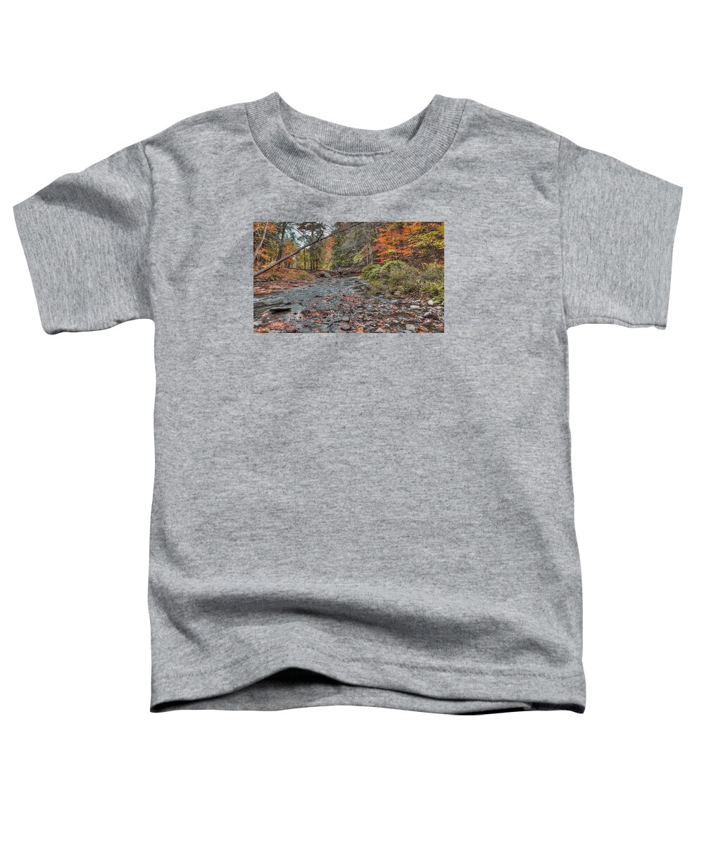 Letchworth State Park Toddler T-Shirt featuring the photograph Wolf Creek at Letchworth State Park, NY by Joe Granita