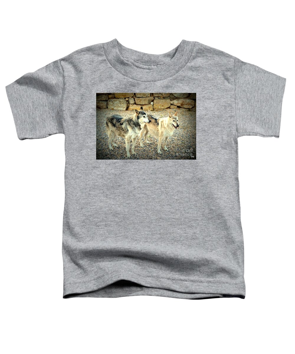 Wolves Toddler T-Shirt featuring the photograph wolves XI by Diane montana Jansson