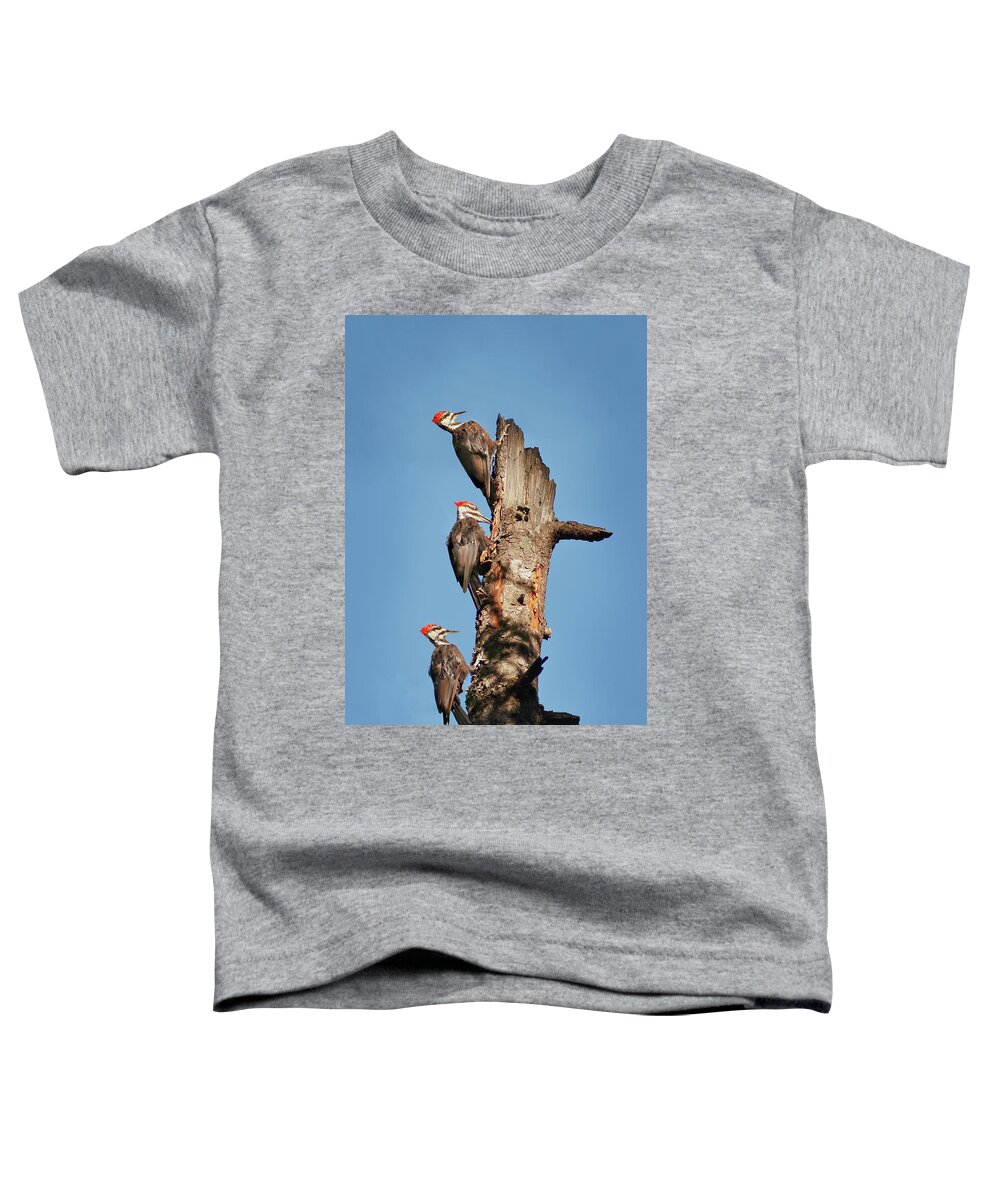 Bird Toddler T-Shirt featuring the photograph Woodpecker Trio by John Christopher