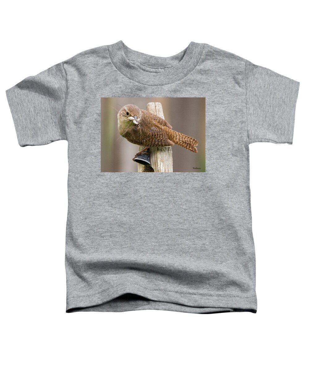 Baby Birds Toddler T-Shirt featuring the photograph Wren Ringing the Dinner Bell by Tim Kathka