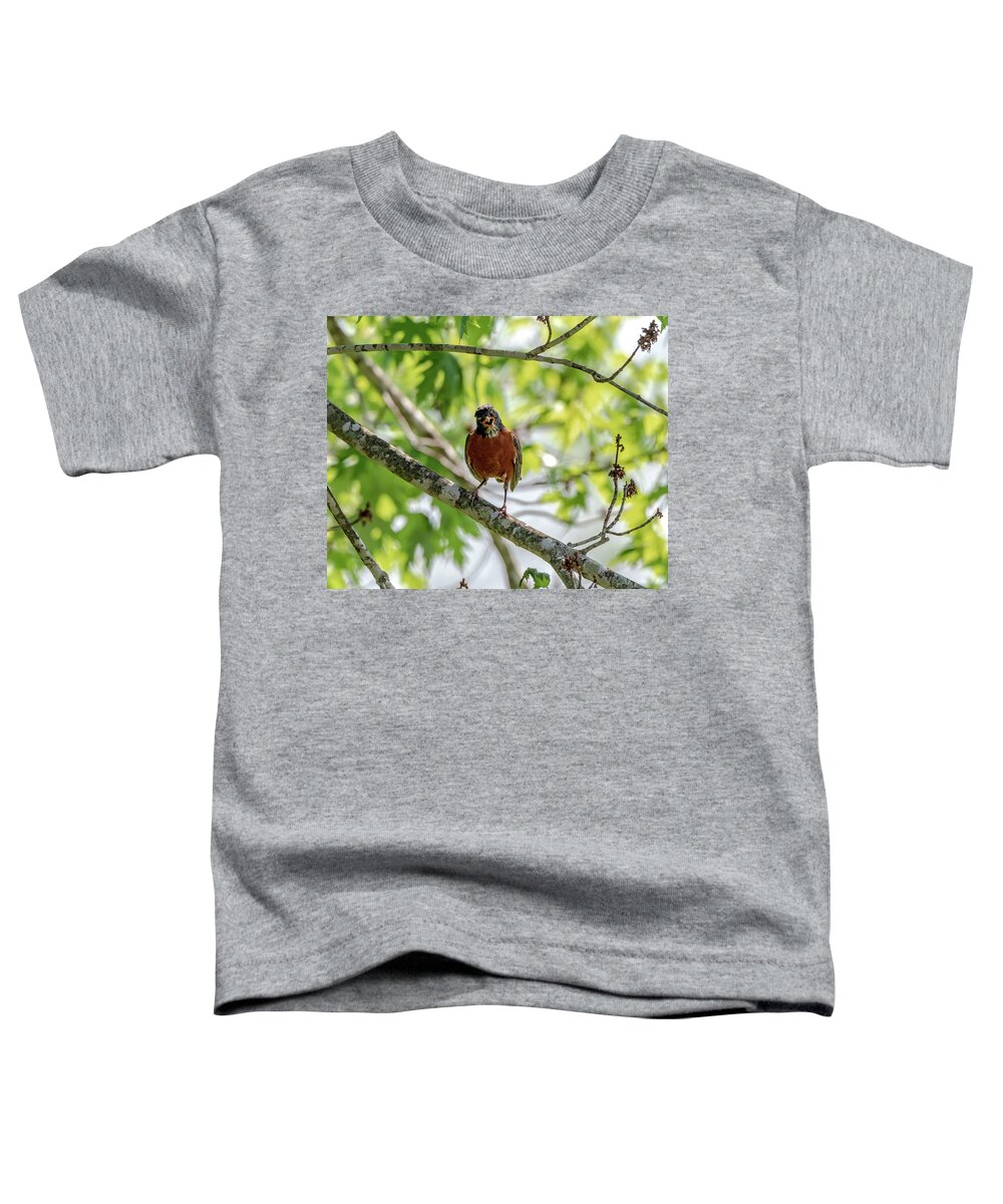  Toddler T-Shirt featuring the photograph Yelling Robin by Joseph Caban