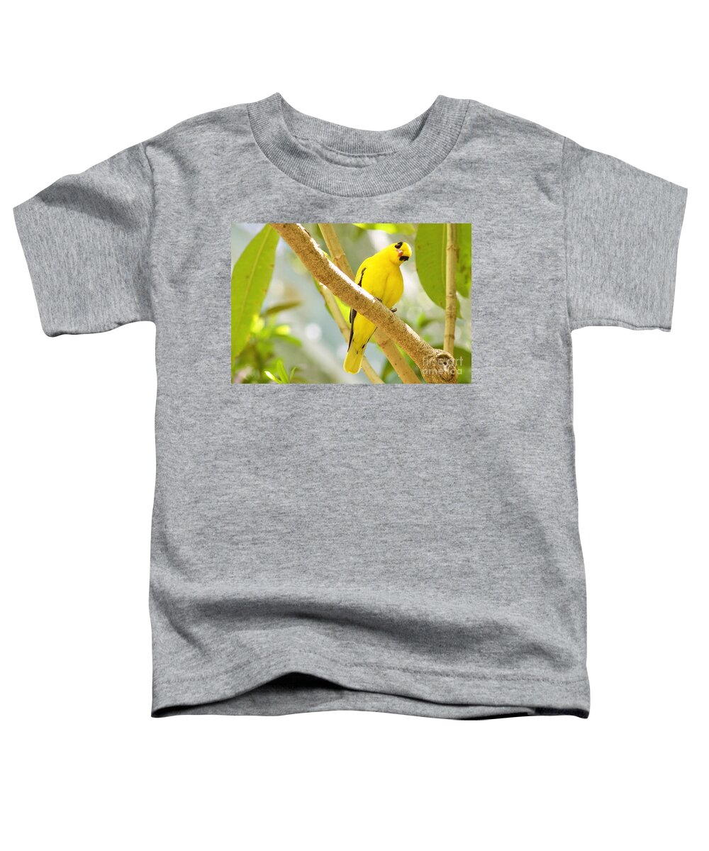 Photography Toddler T-Shirt featuring the photograph You Looking at Me? by Sean Griffin