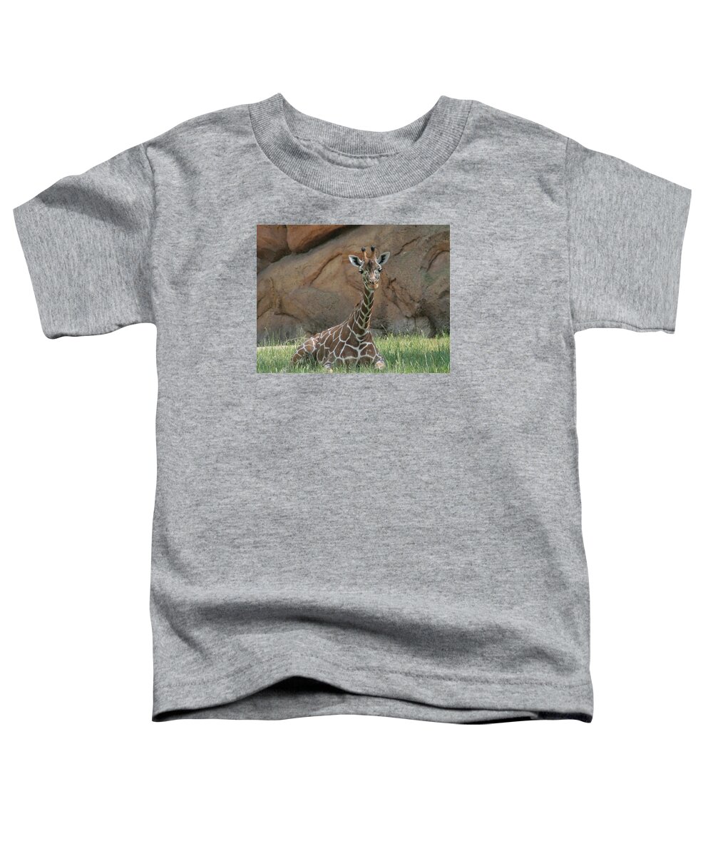 Horizontal Toddler T-Shirt featuring the photograph Young Giraffe by Valerie Collins