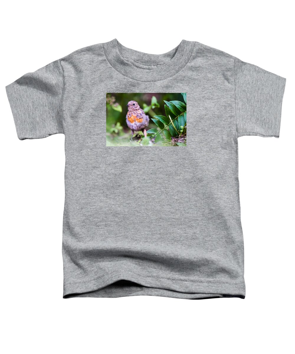 Robin Toddler T-Shirt featuring the photograph Young Robin by Torbjorn Swenelius