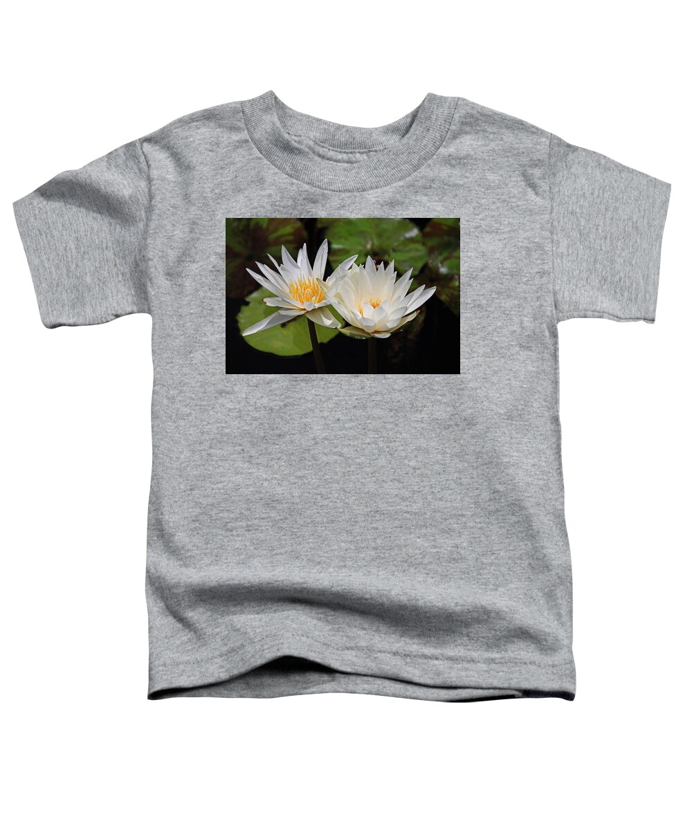Water Lily Toddler T-Shirt featuring the photograph You're Where I'll be by Michiale Schneider