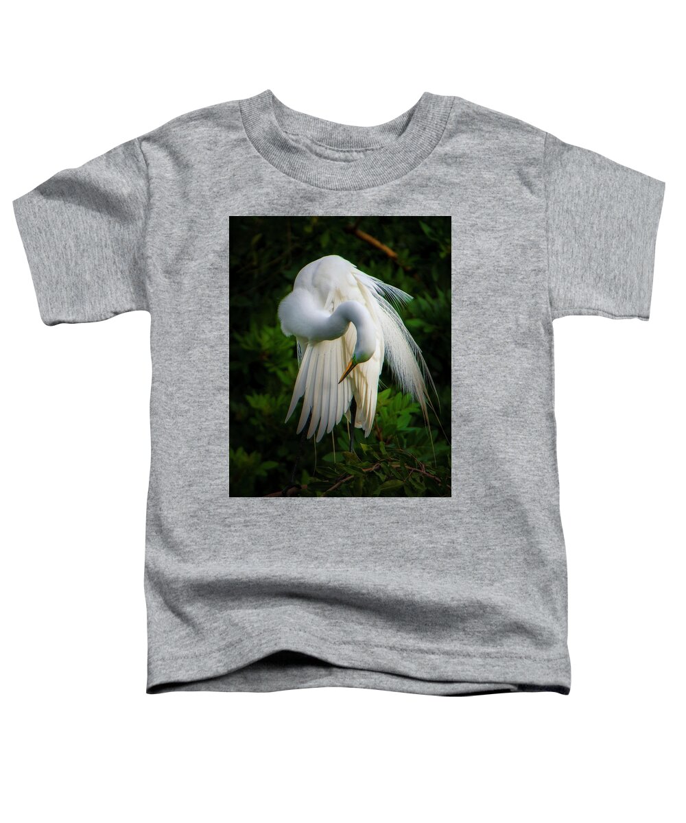 Nature Toddler T-Shirt featuring the photograph Breeding Plumage and Color #1 by Donald Brown