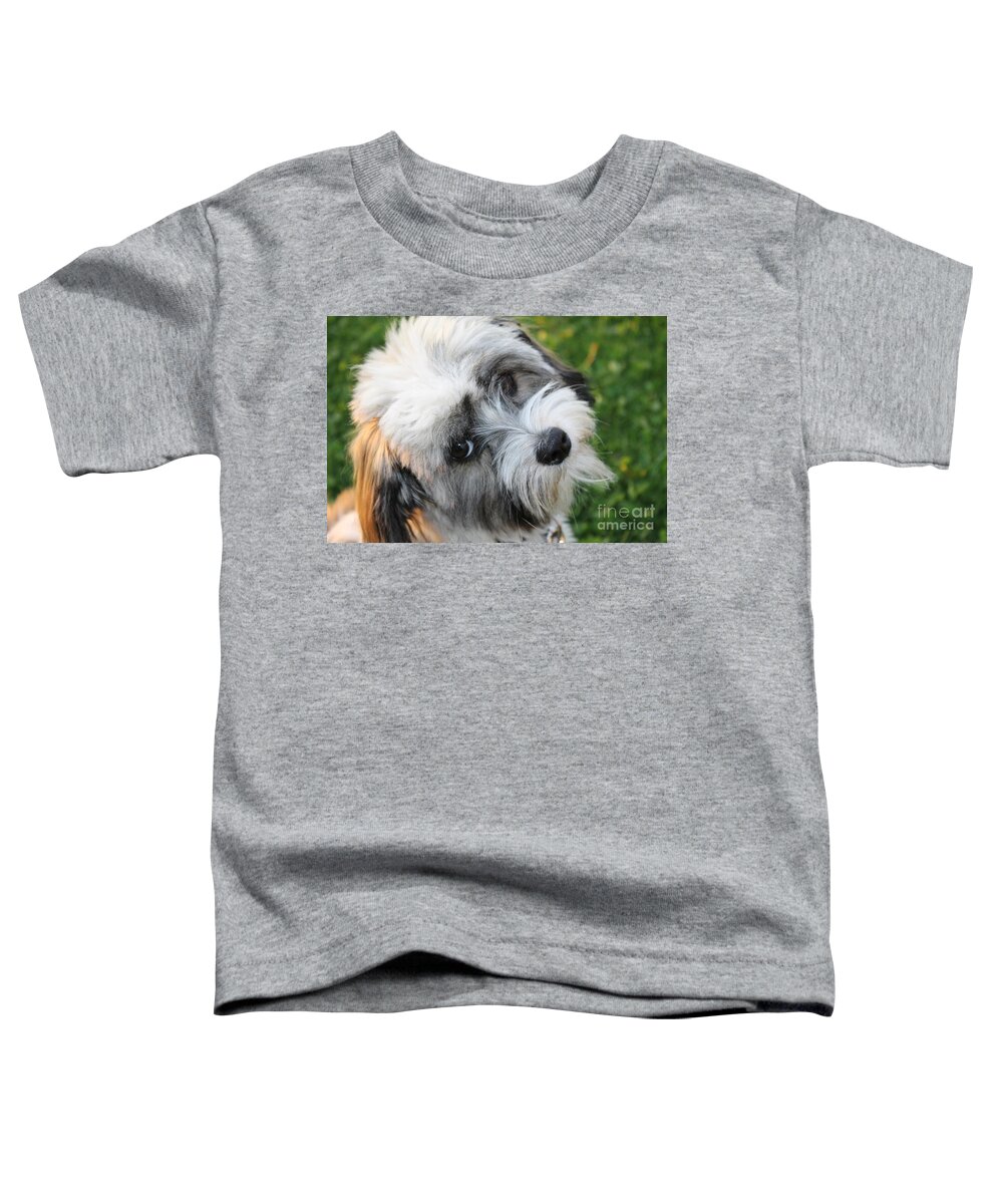 Sea Toddler T-Shirt featuring the digital art Havanese by Michael Graham