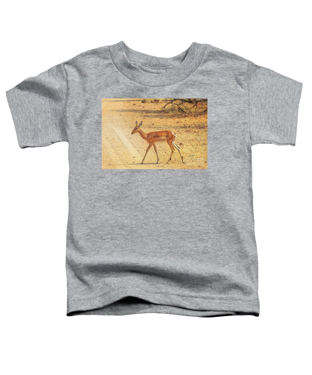 Impala Toddler T-Shirt featuring the photograph Impala female walking #1 by Benny Marty