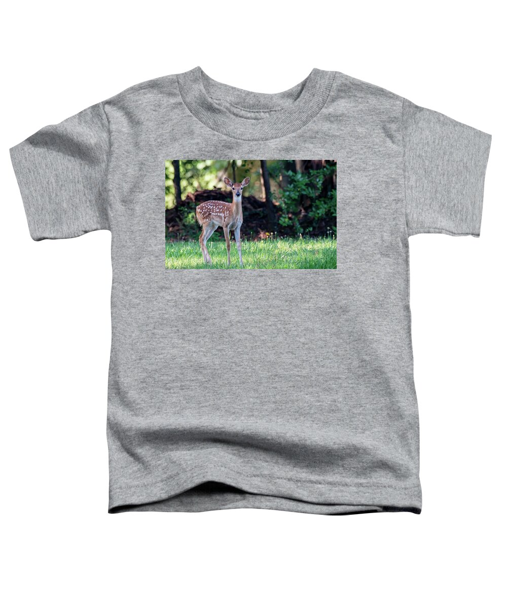 Deer Toddler T-Shirt featuring the photograph Innocent Eyes of a Young Fawn by Marcy Wielfaert