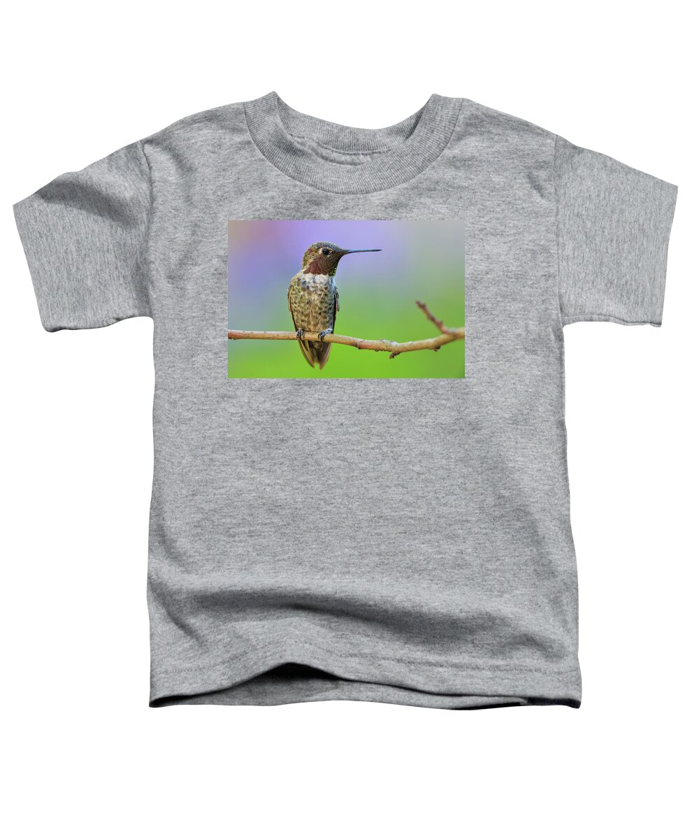 Animal Toddler T-Shirt featuring the photograph Midsummer Night's Dream IV - Male Anna's Hummingbird #1 by Briand Sanderson