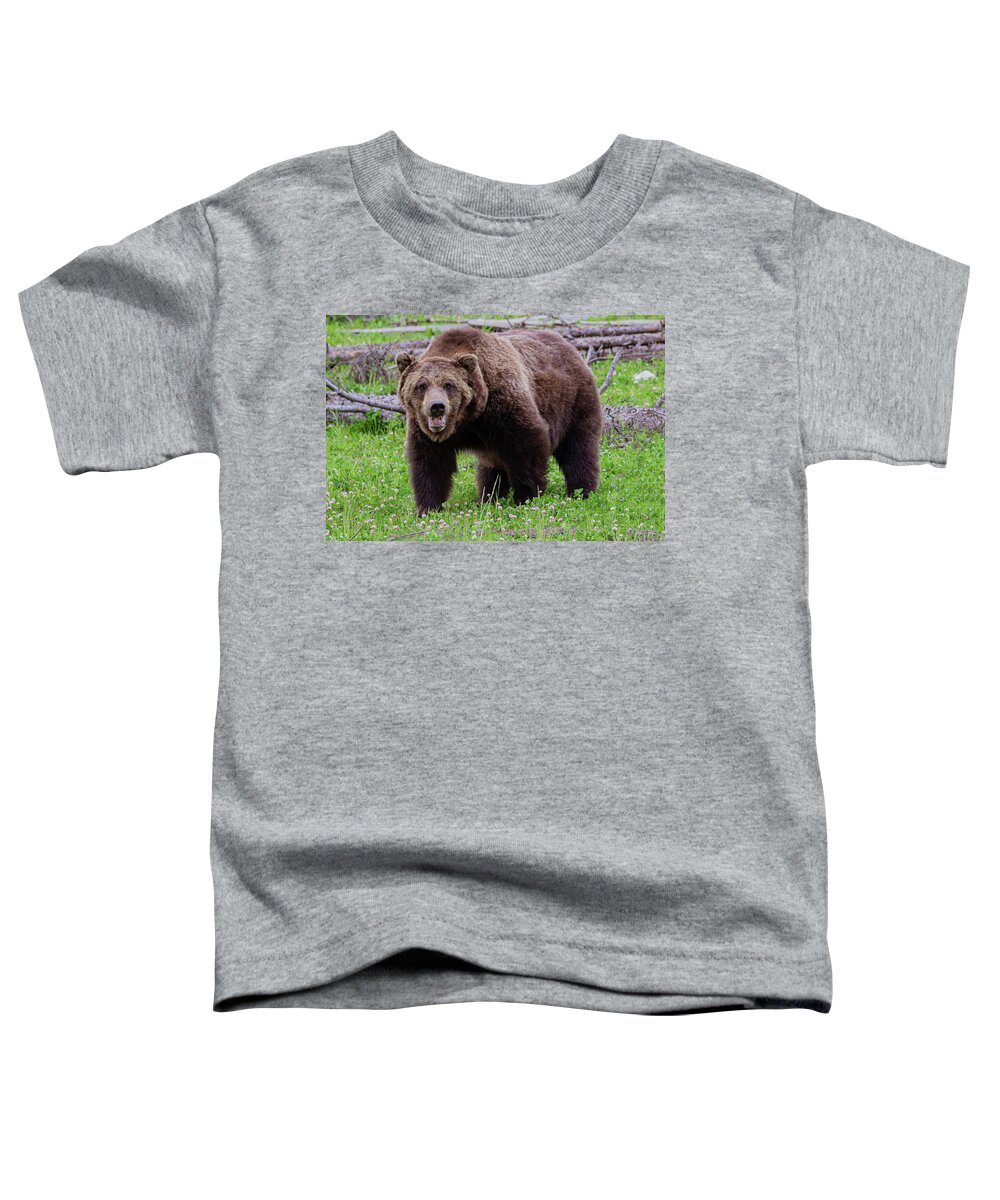 Grizzly Toddler T-Shirt featuring the photograph Mister Grizzly by Douglas Wielfaert