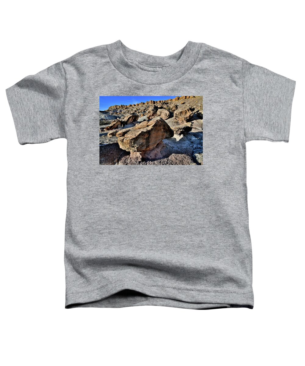 Red Point Toddler T-Shirt featuring the photograph Red Point Boulder Field #1 by Ray Mathis