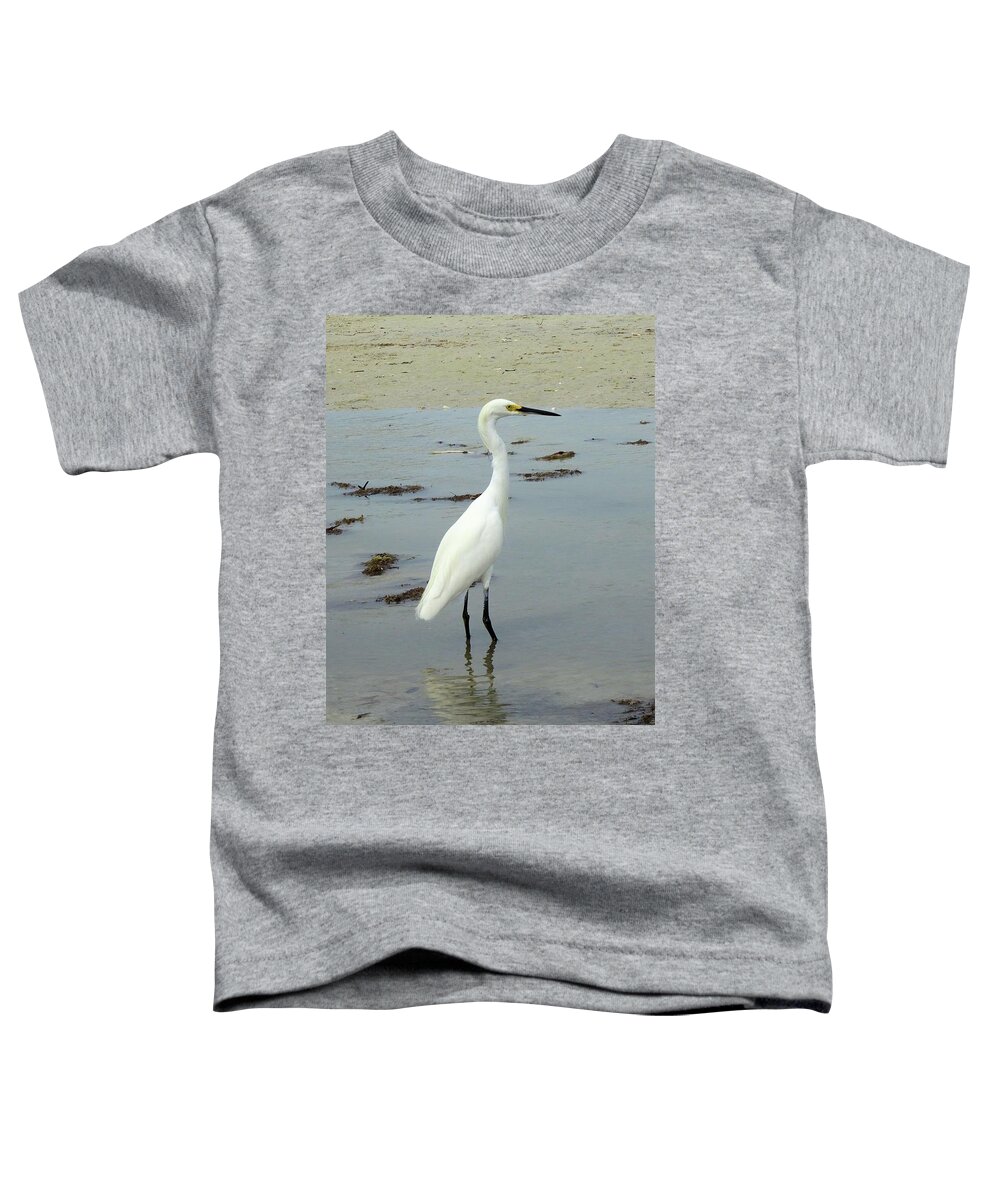 Birds Toddler T-Shirt featuring the photograph Snowy Egret #2 by Karen Stansberry