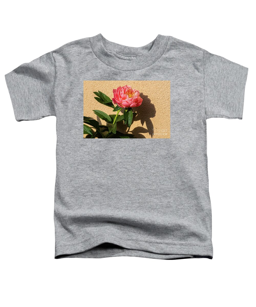 Sublime Peony Toddler T-Shirt featuring the painting Sublime Peony, Dijon, France, April by European School