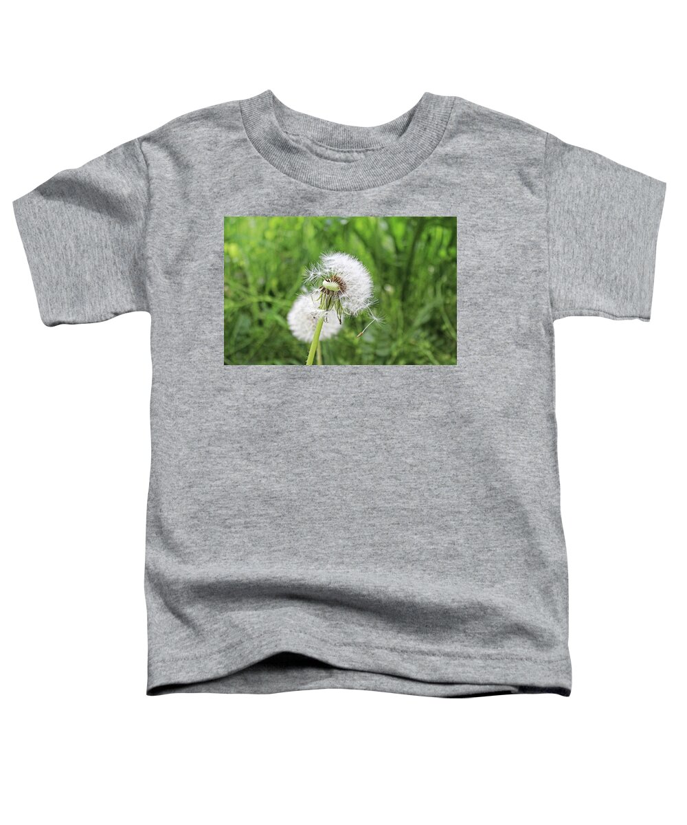 Dandelion Head Toddler T-Shirt featuring the photograph Dandelion head close up #2 by Martin Smith