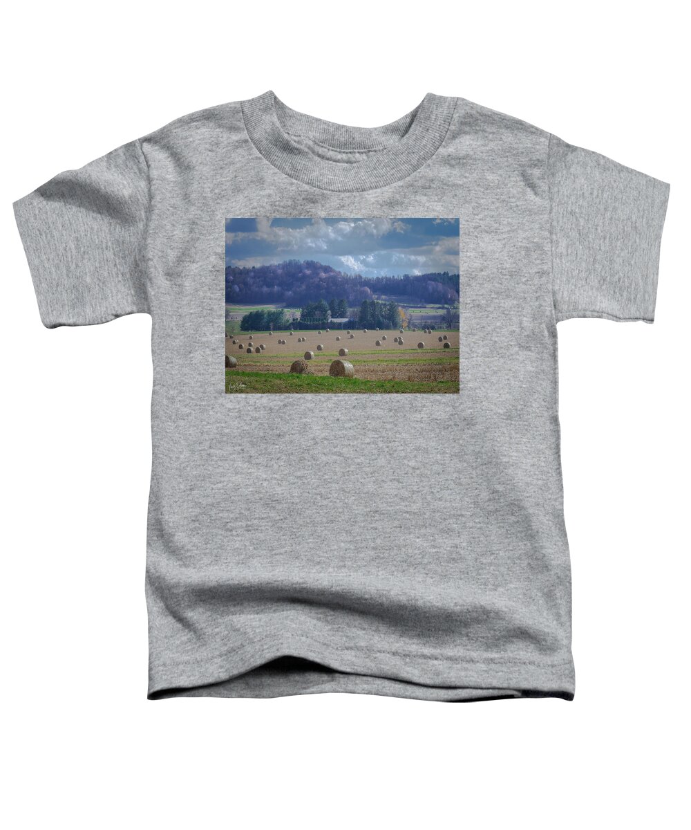 Hay Toddler T-Shirt featuring the photograph Hay Bale Harvest #2 by Phil S Addis