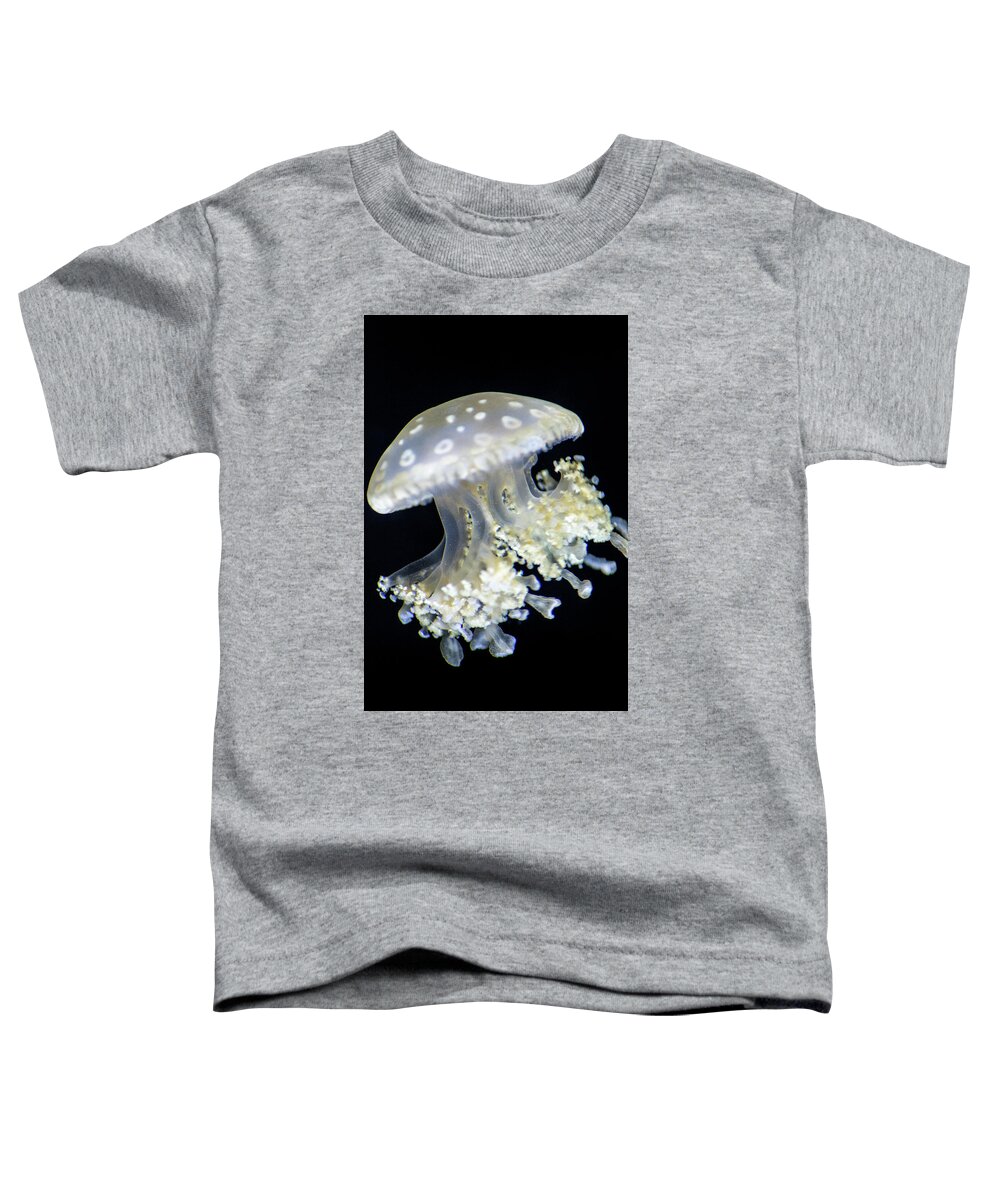 Animals Toddler T-Shirt featuring the photograph Jellyfish #2 by Don Johnson