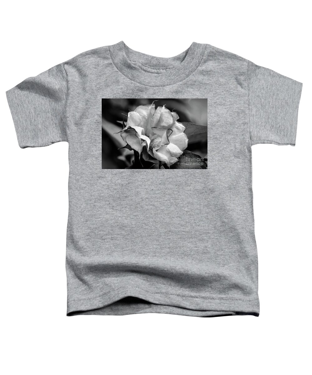 Brugmansia Toddler T-Shirt featuring the photograph Purple Trumpet Flower #2 by Raul Rodriguez