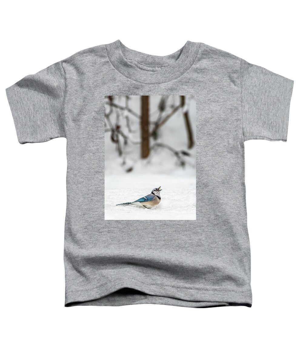 2019 Toddler T-Shirt featuring the photograph 2019 First Snow Fall by Cindy Lark Hartman