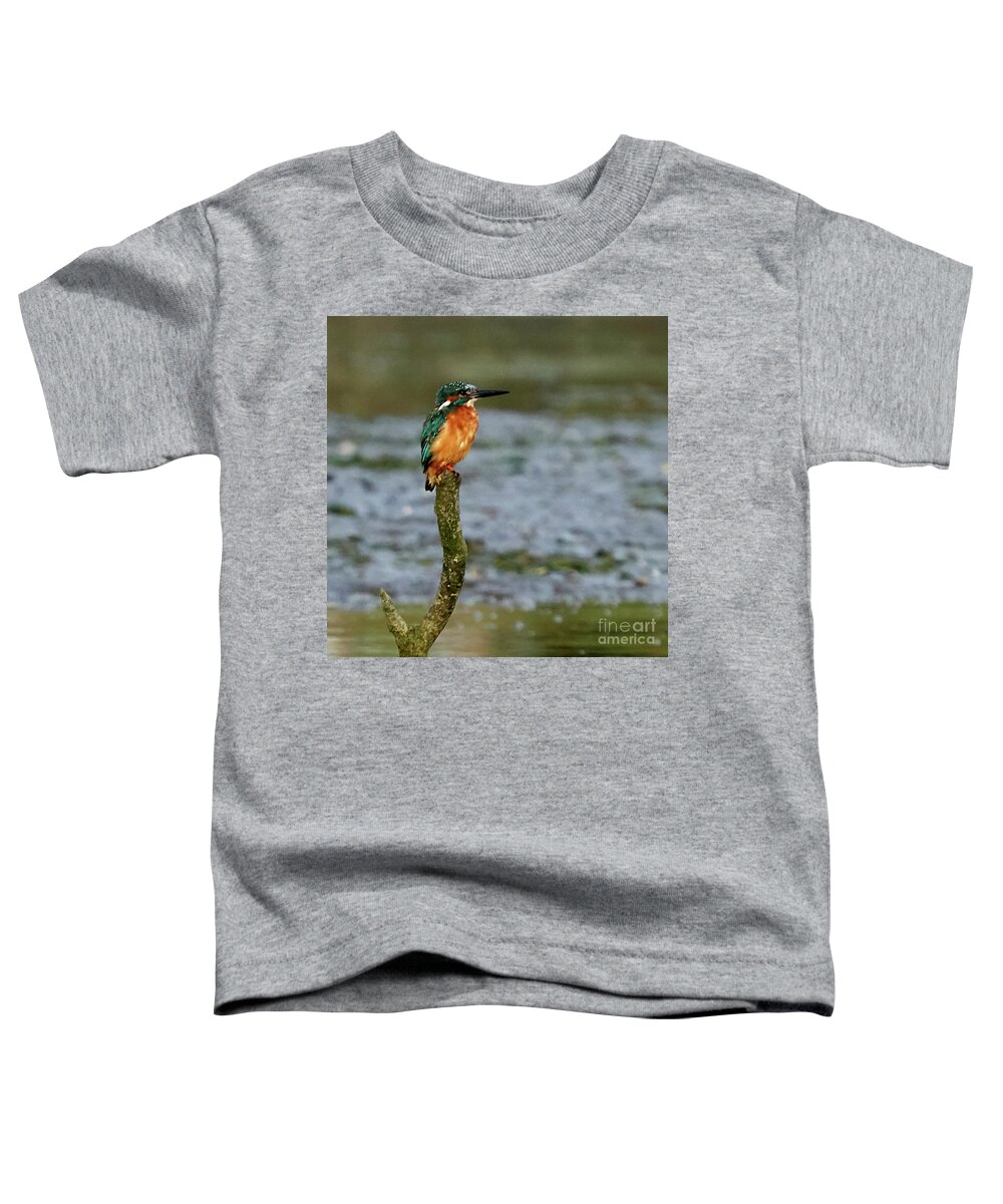 Blue Toddler T-Shirt featuring the photograph Common Kingfisher Alcedo Atthis O Seixo #3 by Pablo Avanzini