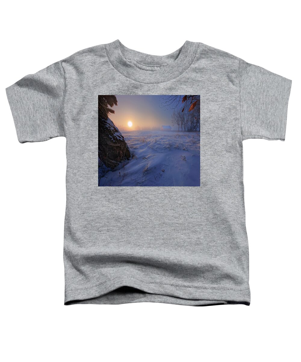 Winter Toddler T-Shirt featuring the photograph -30 Celsius #30 by Dan Jurak