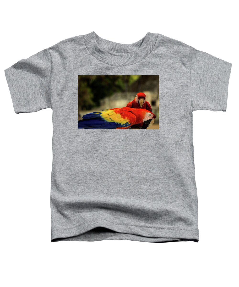 Ara Toddler T-Shirt featuring the photograph A pair of scarlet macaws by Robert Grac