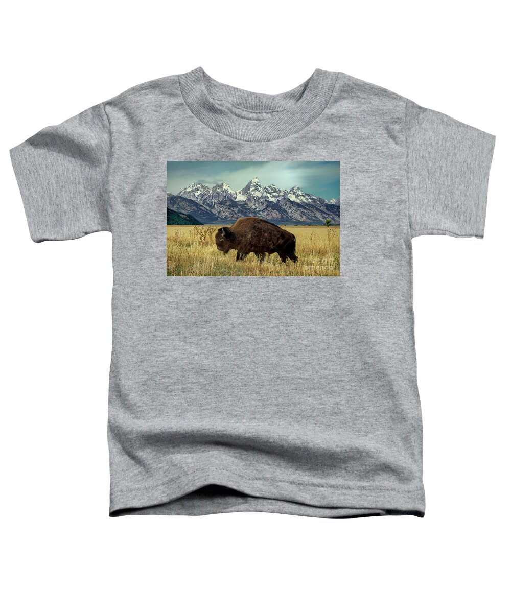 Dave Welling Toddler T-Shirt featuring the photograph Adult Bison Bison Bison Wild Wyoming by Dave Welling