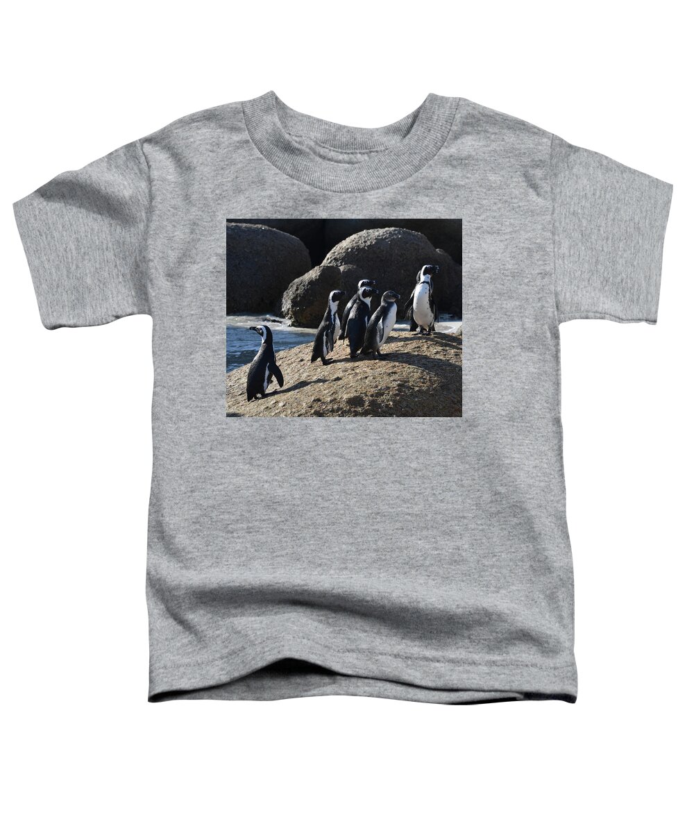 Penguin Toddler T-Shirt featuring the photograph African Penguins by Ben Foster